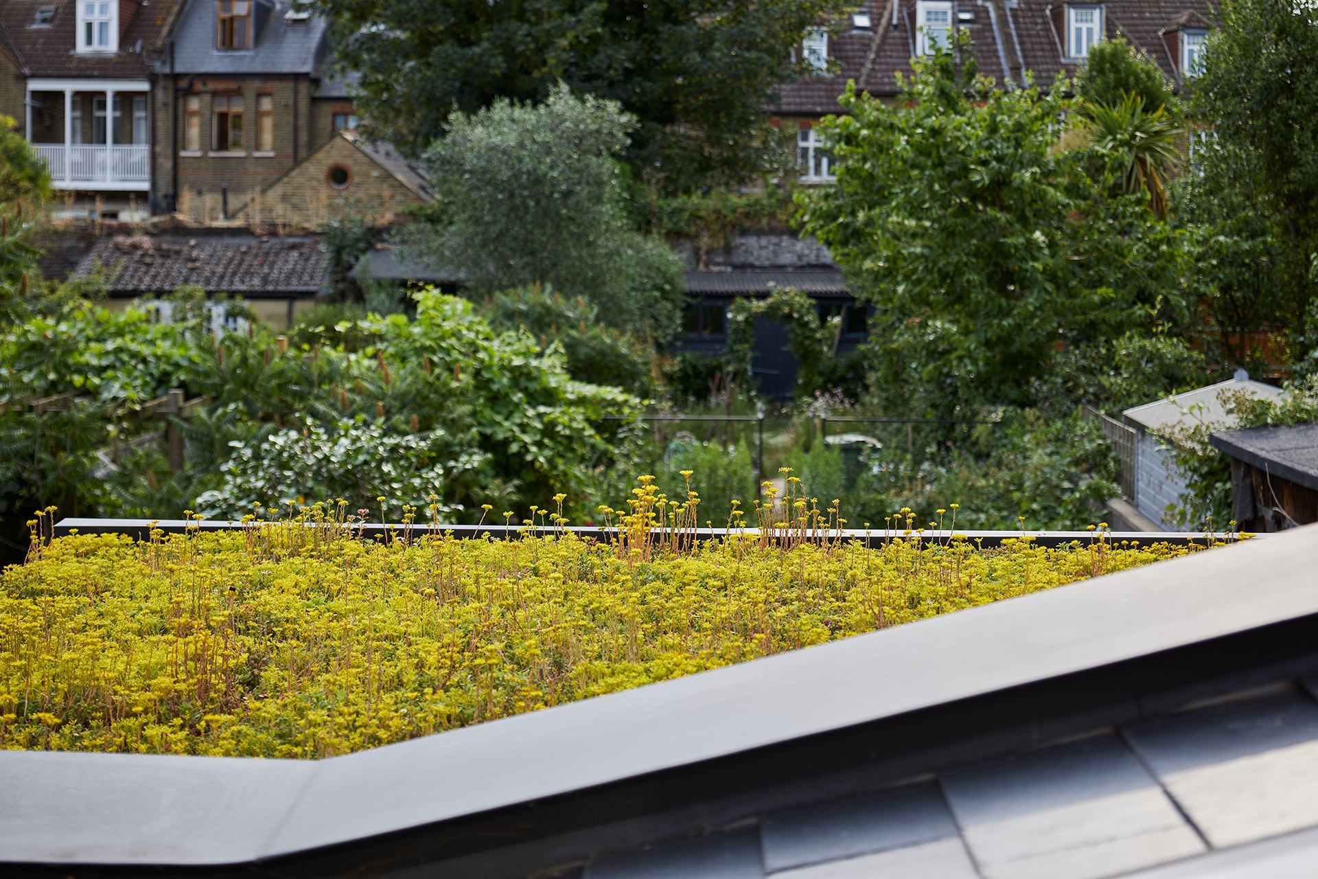 Extension & full renovation, Acton, W3 – photo 19 of 20
